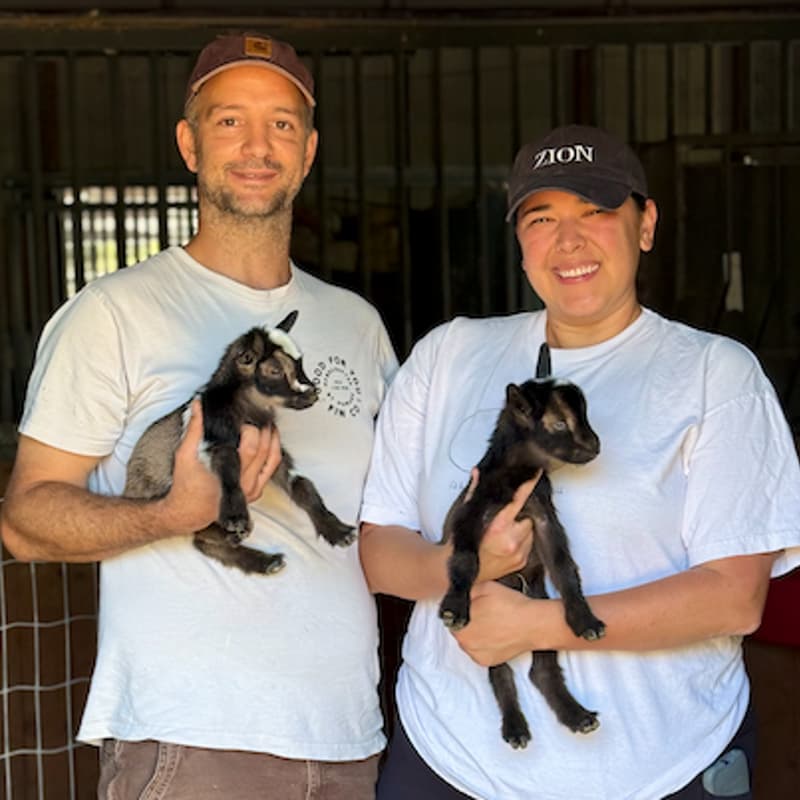 Cover Image for 11/12 3p Baby Goat Petting Zoo