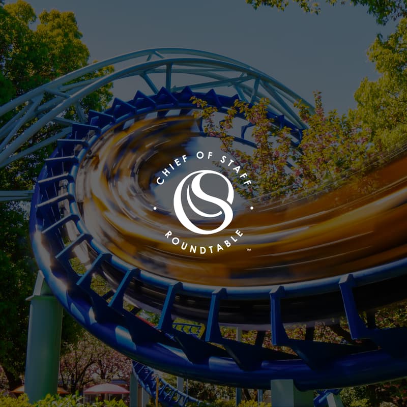 Cover Image for Rollercoaster: Navigating Access, Accountability, & Alignment with Your Executive