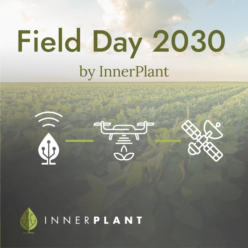 Cover Image for Field Day 2030 by InnerPlant