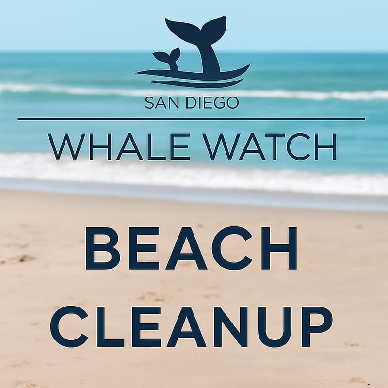 Cover Image for Beach Cleanup with San Diego Whale Watch in Mission Beach