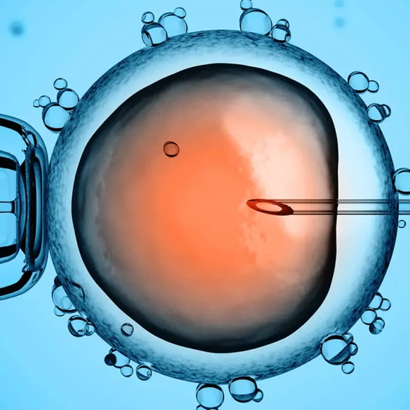 Cover Image for Frontiers in reproductive technology