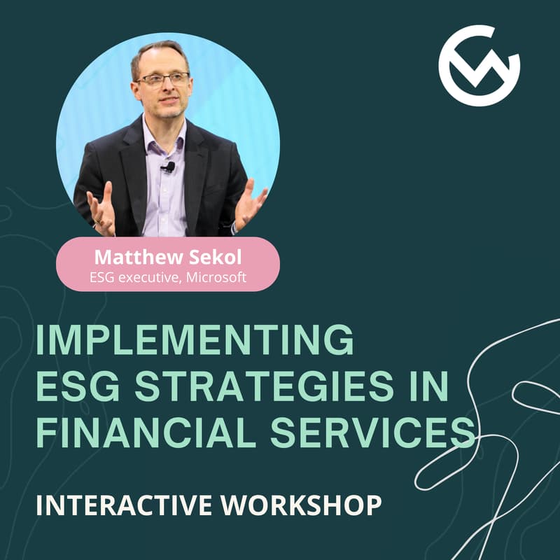 Cover Image for Implementing ESG strategies in financial services