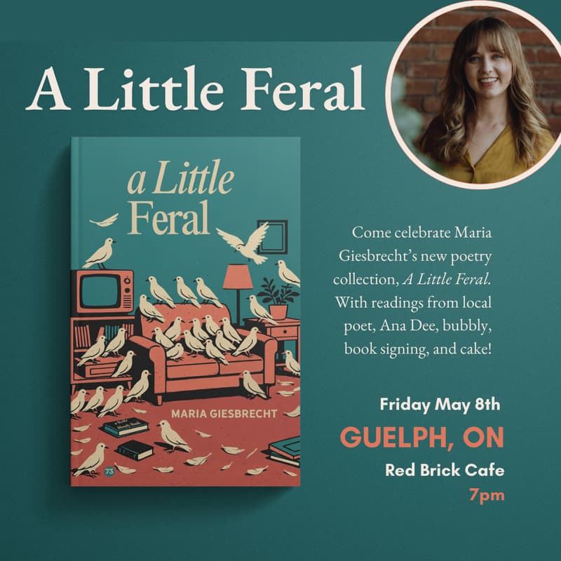 Cover Image for A Little Feral Book Launch