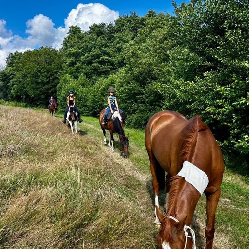 Cover Image for Yoga & Balade En Cheval