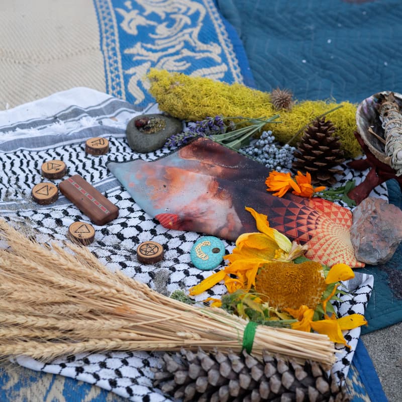 Cover Image for Fall Equinox Community Celebration & Fundraiser - Trillium Sustainability