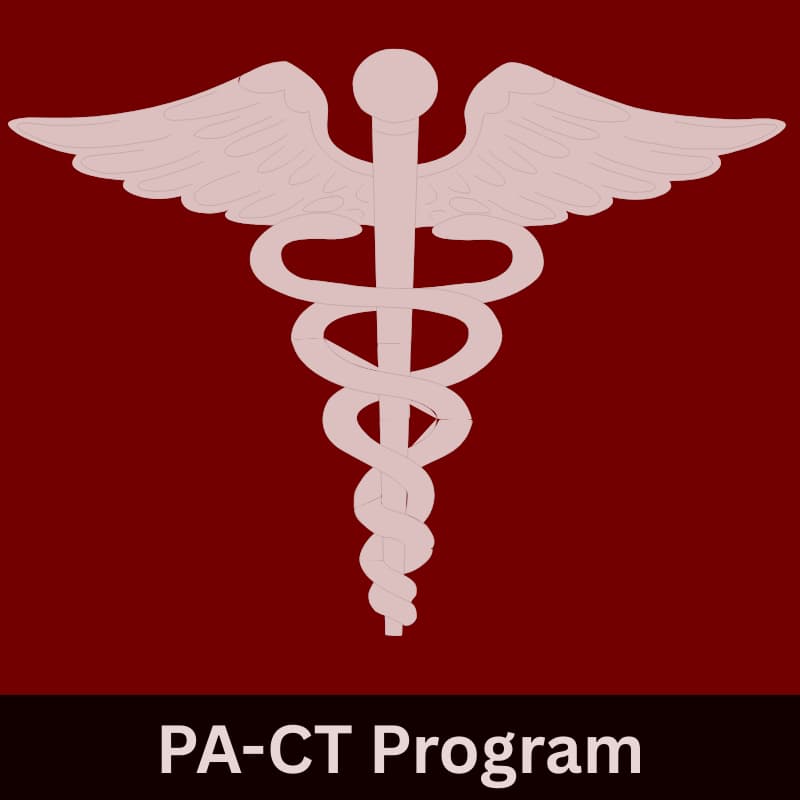 Cover Image for PA-CT: Clinical Skills & Case Study Night