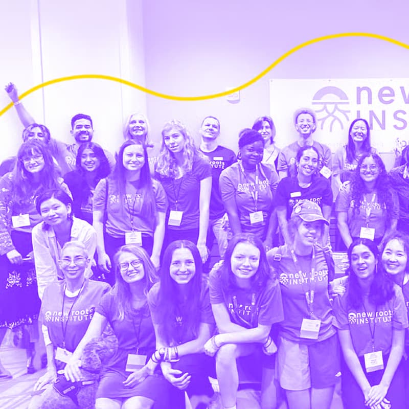 Cover Image for November Information Session - New Roots Institute Fellowship