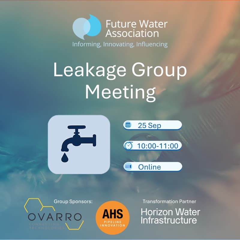 Cover Image for Leakage Group Meeting