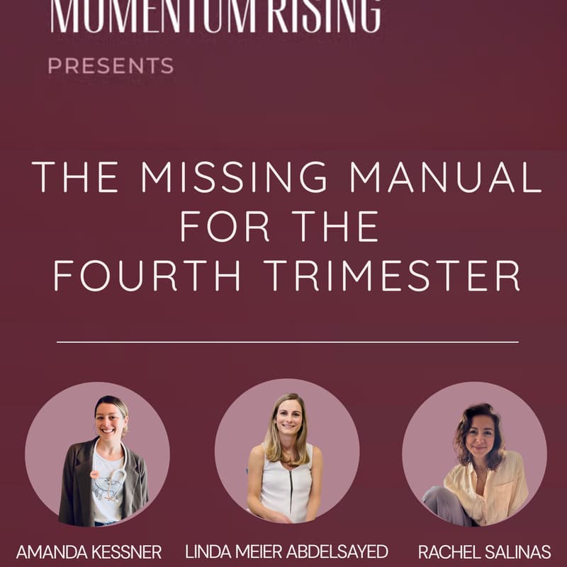 Cover Image for The Missing Manual for the Fourth Trimester