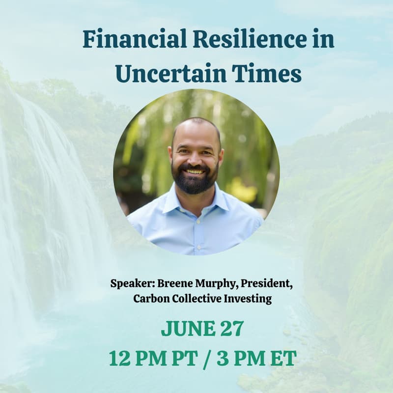 Cover Image for Financial Resilience in Uncertain Times