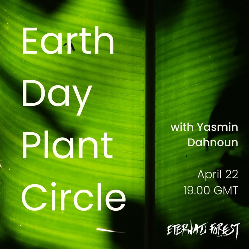 Cover Image for Earth Day Plant Circle