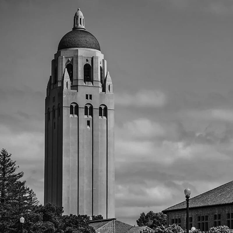 Cover Image for Tilde Research @ Stanford