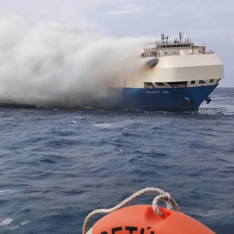 Cover Image for SUNK COSTS: The Saga of the Felicity Ace