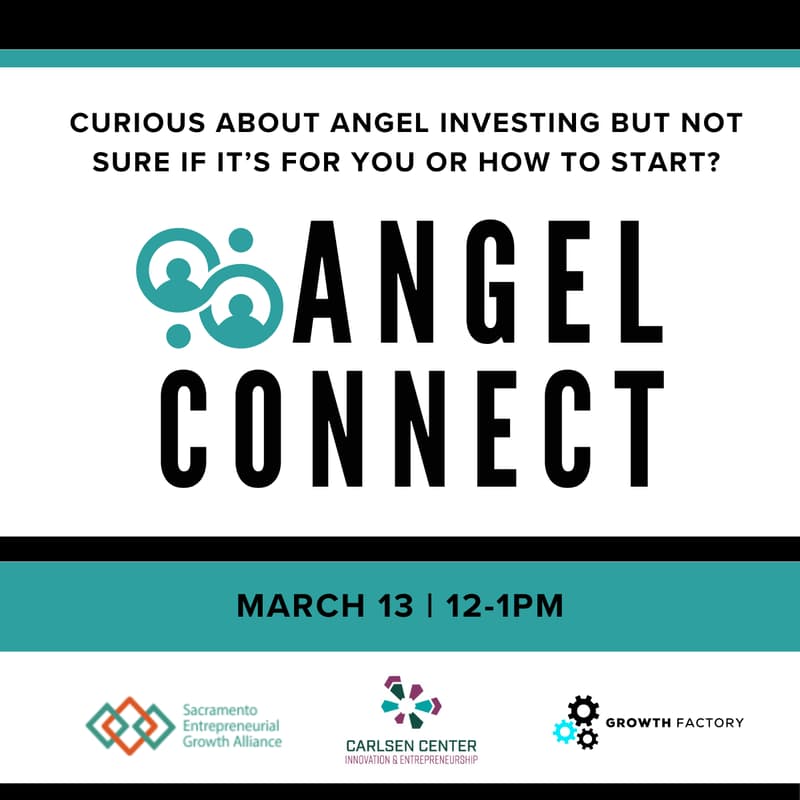 Cover Image for Angel Connect