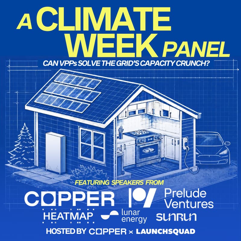 Cover Image for Can VPPs solve the grid’s capacity crunch?