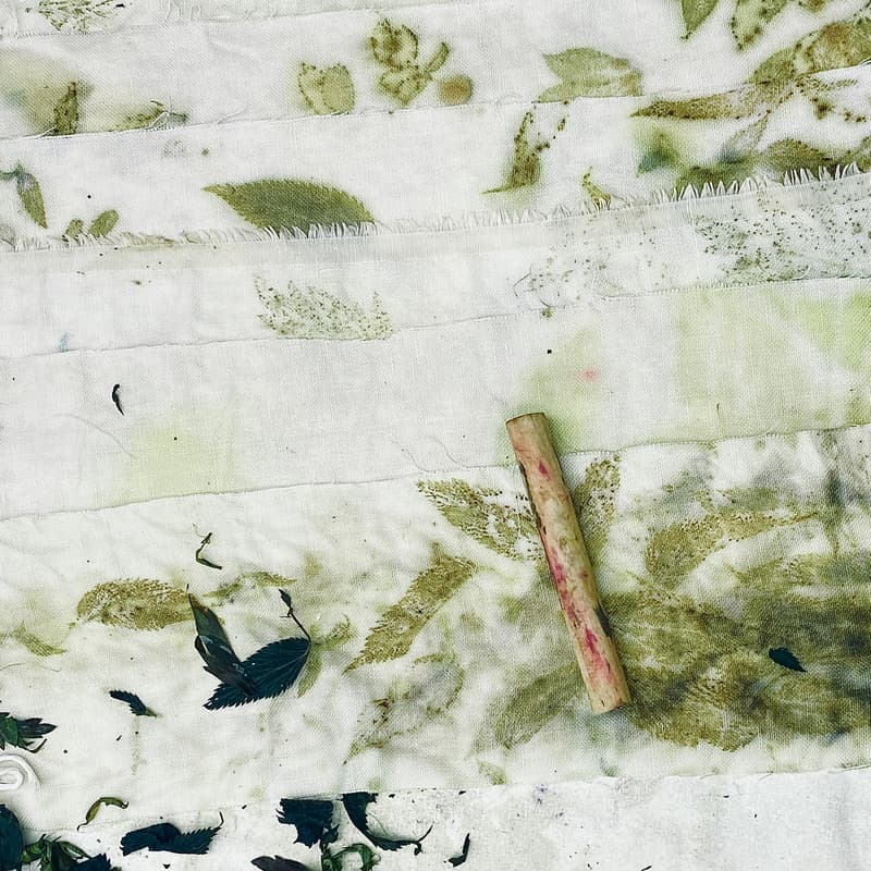 Cover Image for Spring Clean Forage & Dye