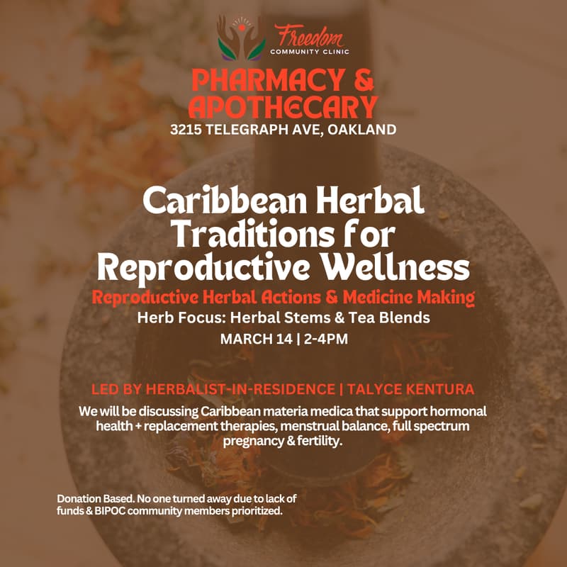 Cover Image for Community Medicine Making: Caribbean Herbal Traditions for Reproductive Wellness: Reproductive Herbal Actions & Medicine
