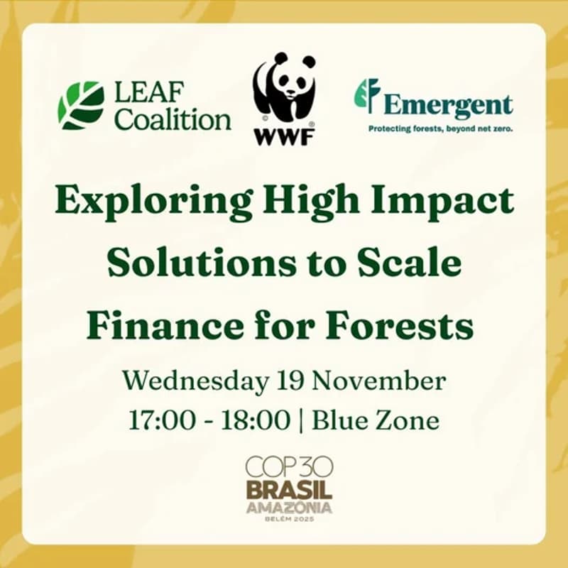 Cover Image for Exploring High Impact Solutions to Scale Finance for Forests