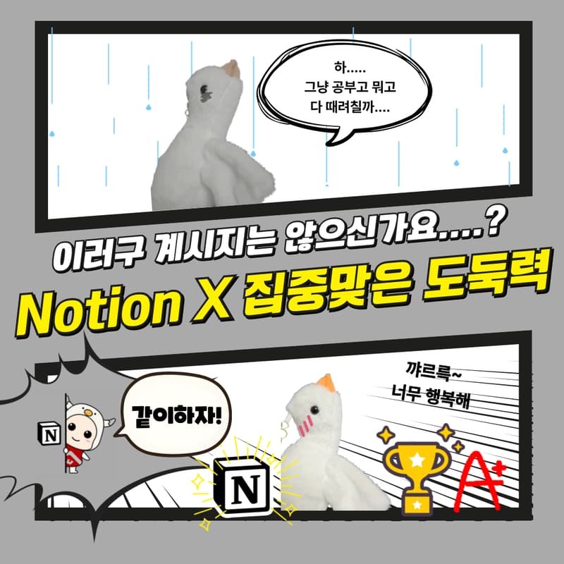 Cover Image for Notion x 집중맞은도둑력 워크샵