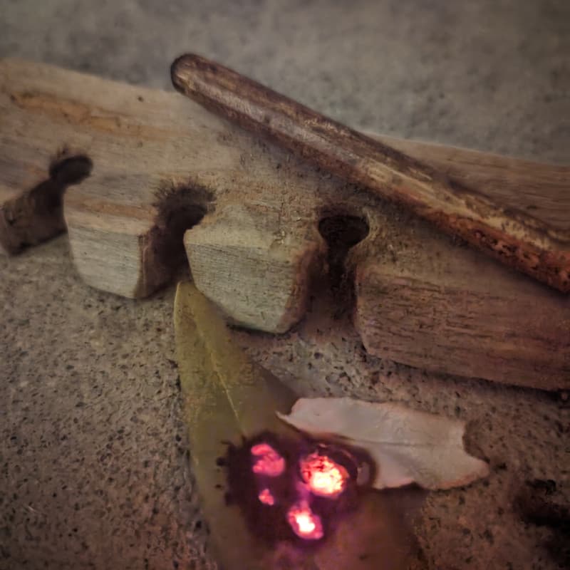 Cover Image for Hūyū Tepaní Sacred Fire Ancestral Lifeways Tribal Gathering & Cultural Burn