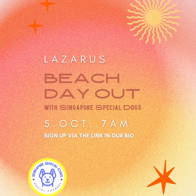 Cover Image for Beach Day Out with @SingaporeSpecialDogs