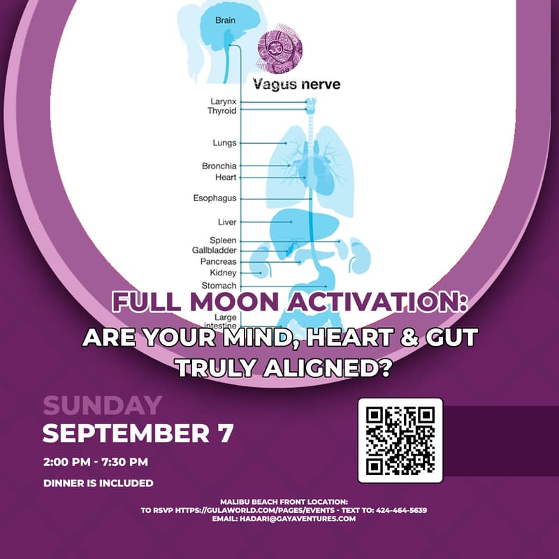 Cover Image for Full Moon Activation: Are Your Mind, Heart & Gut Truly Aligned?