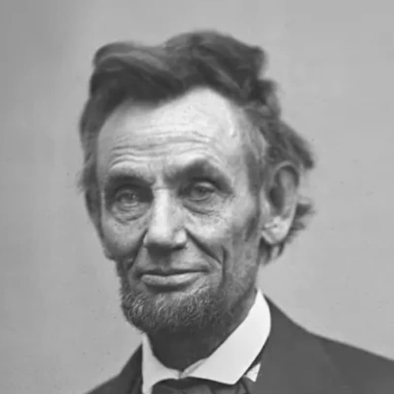Cover Image for THE (first) AMERICAN CIVIL WAR