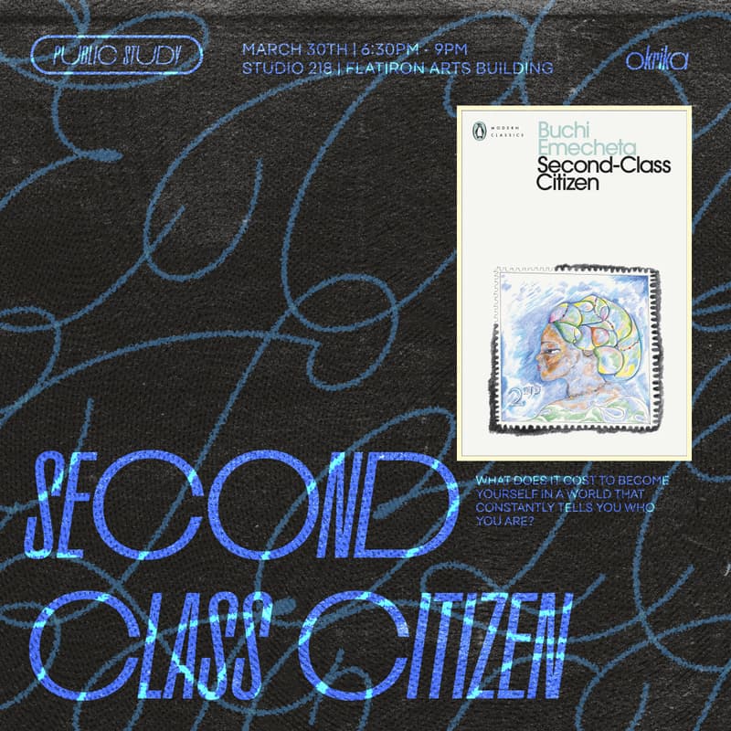 Cover Image for PUBLIC STUDY: SECOND CLASS CITIZEN