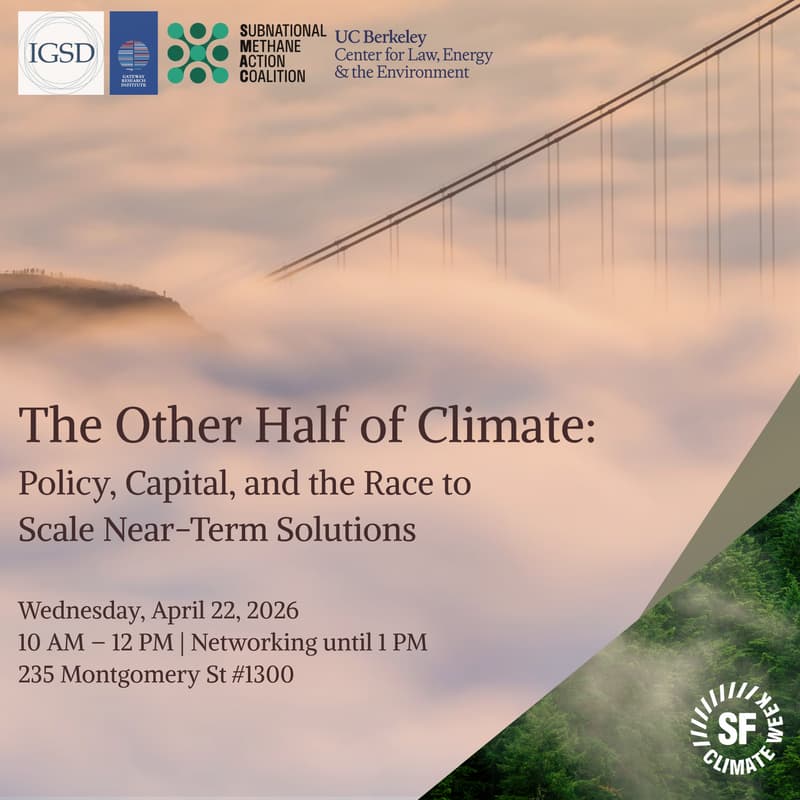 Cover Image for The Other Half of Climate: Policy, Capital, and the Race to Scale Superpollutant Solutions