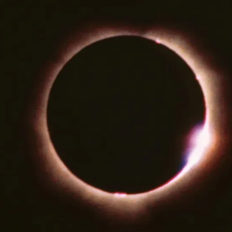 Cover Image for Beach Eclipse Ceremony