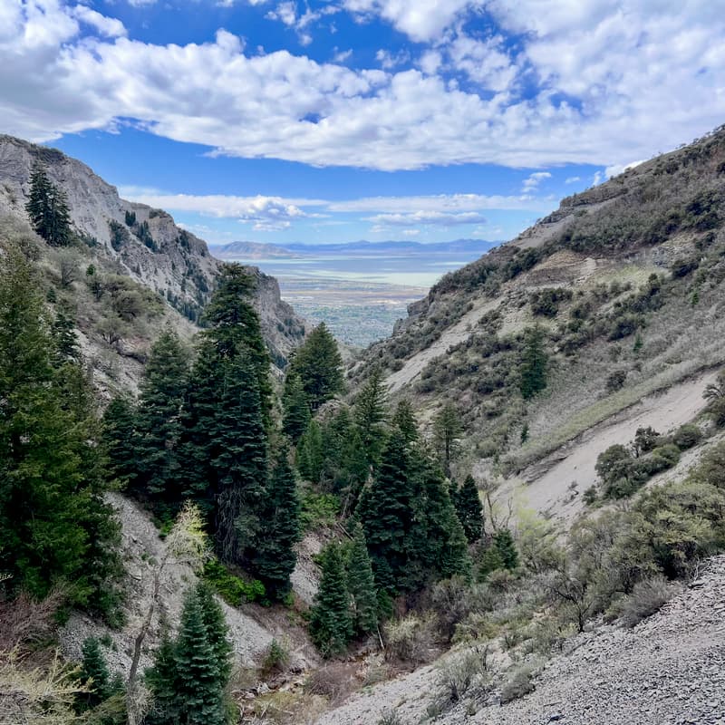 Cover Image for Networking in Nature Hike - Grove Creek Canyon