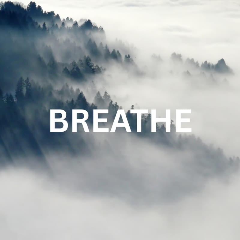 Cover Image for Healing Immersive Breathwork