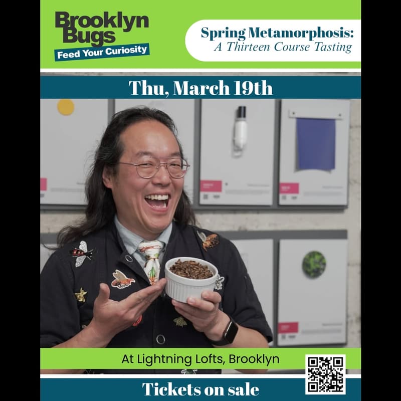 Cover Image for Brooklyn Bugs - Spring Metamorphosis - March 19th