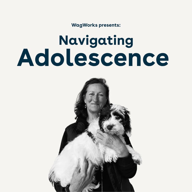 Cover Image for Navigating Adolescence Talk