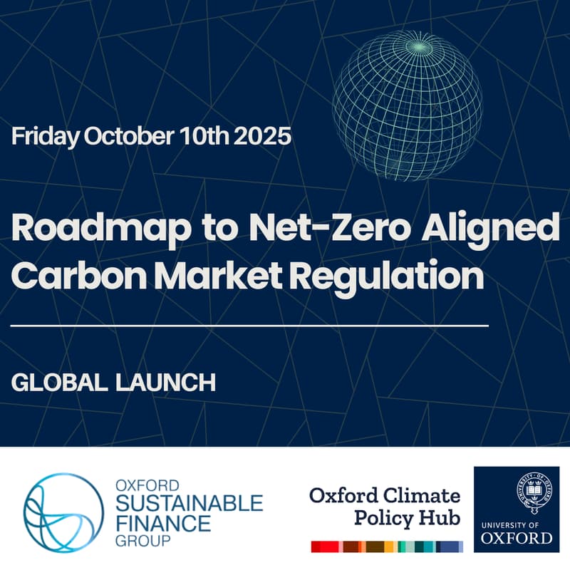 Cover Image for Global Launch: Roadmap to Net-Zero Aligned Carbon Market Regulation