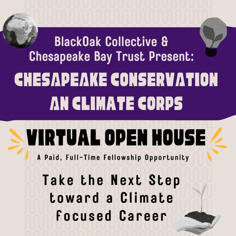 Cover Image for BlackOak Collective Virtual Open House: Chesapeake Conservation & Climate Corps