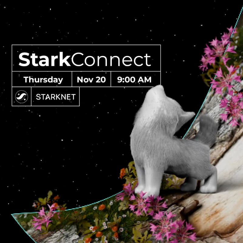 Cover Image for StarkConnect