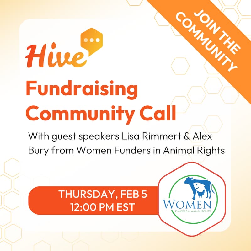 Cover Image for Hive Fundraising Community Call Joined By Women Funders In Animal Rights