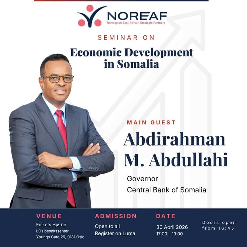 Cover Image for Somalia’s Economic Development and the Role of the Diaspora