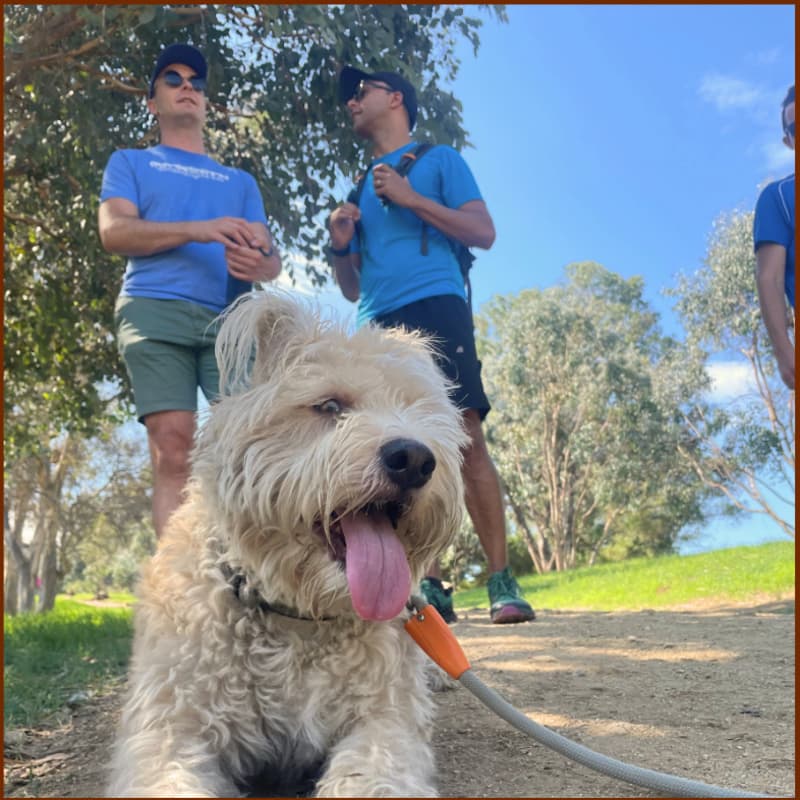 Cover Image for 🥾 Community Meetup: Easy Group Hike