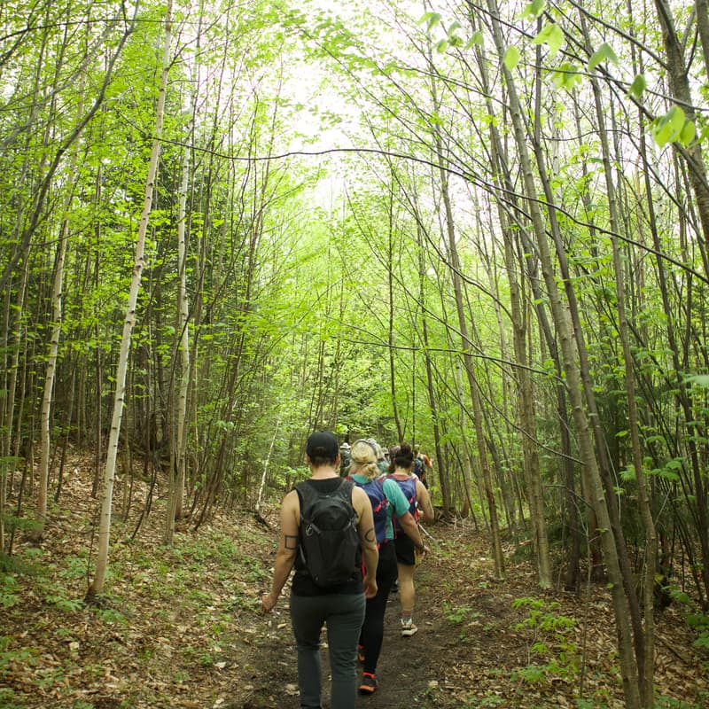 Cover Image for Monday Night Hike 9/22 - Leland, Michigan