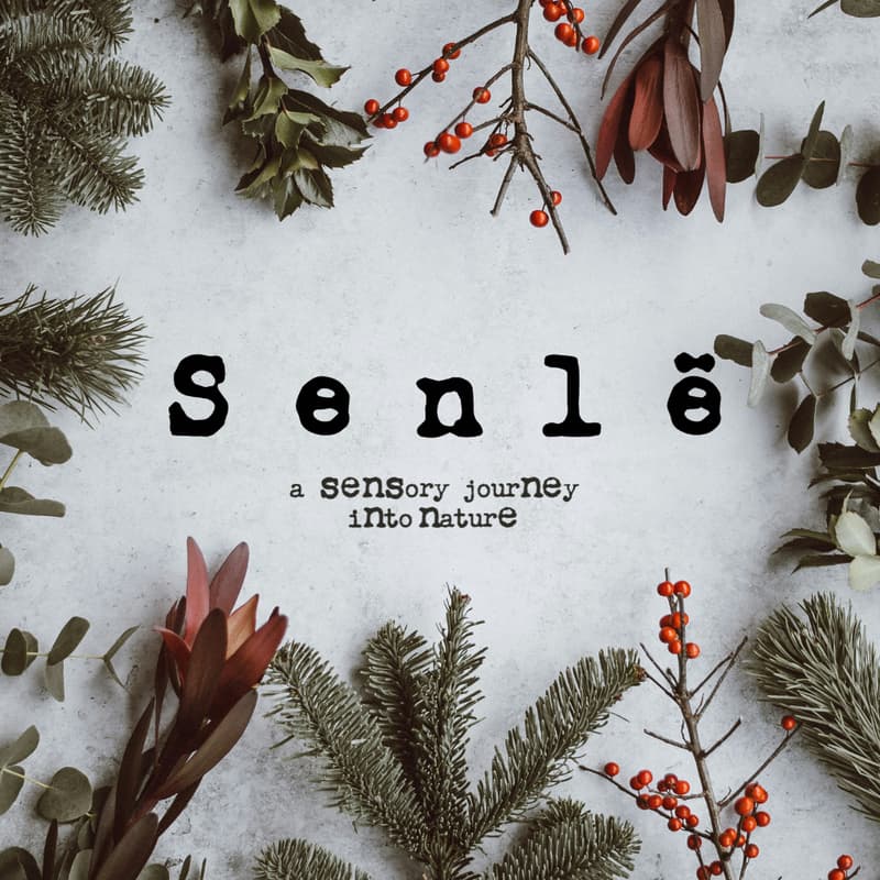 Cover Image for Senlë Christmas Scent Launch: Sample & Workshop Afternoon