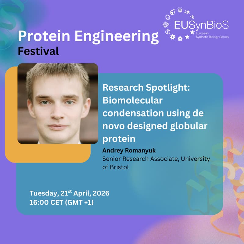 Cover Image for Research Spotlight: Biomolecular condensation using de novo designed globular protein