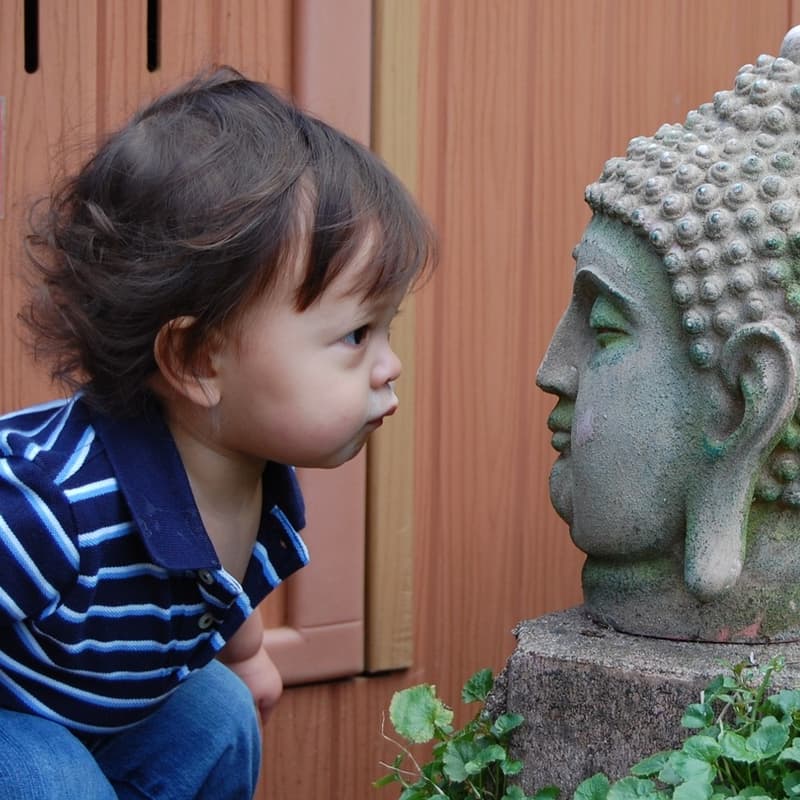 Cover Image for Cùng gom góp góc nhìn: học nhìn và thấy cuộc đời của Đức Phật