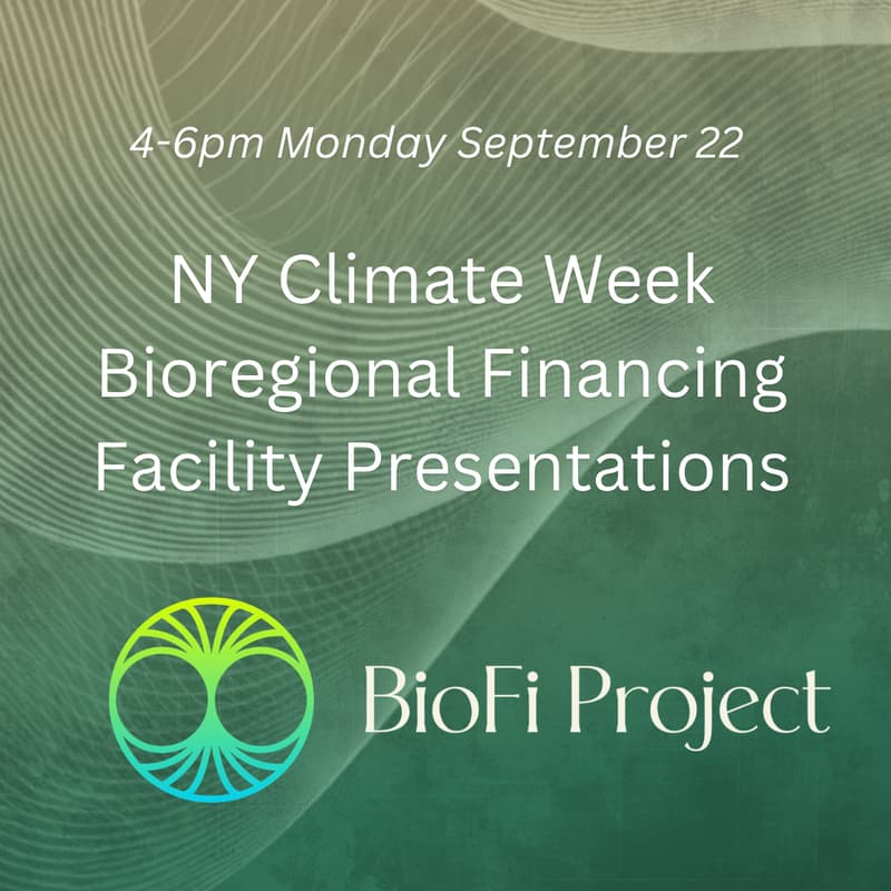 Cover Image for NY Climate Week BFF Presentations