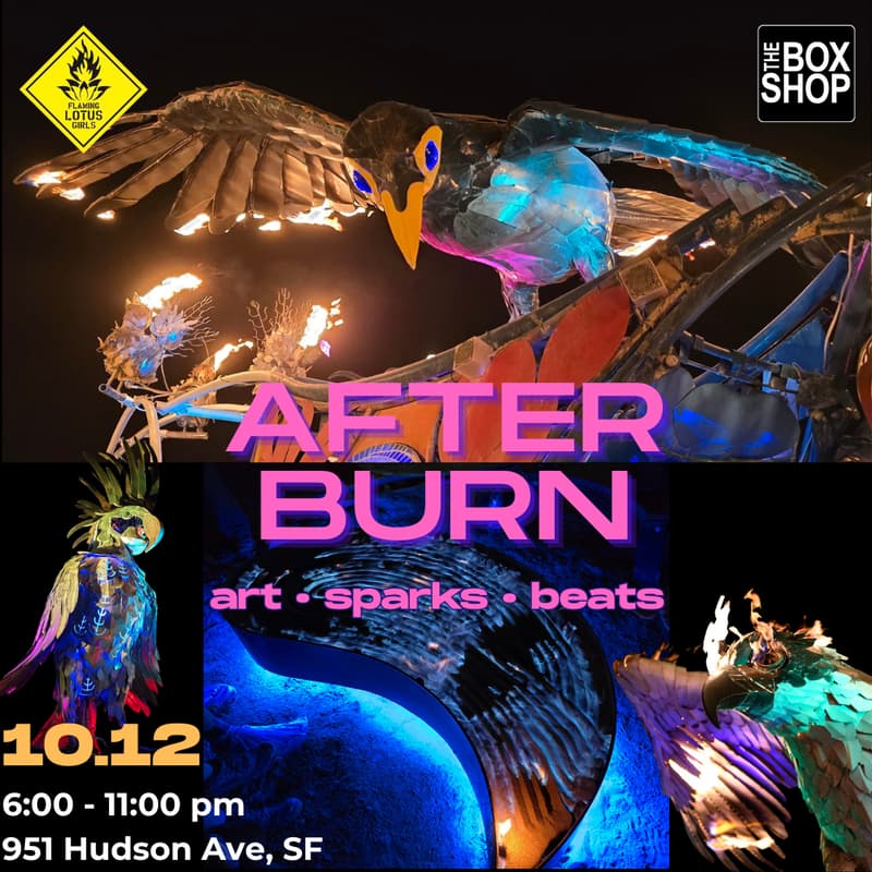 Cover Image for After Burn at The Box Shop