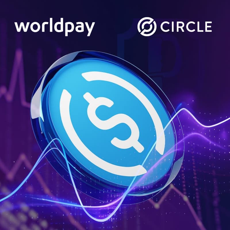Cover Image for USDC in Action: Navigating the Future of Payments