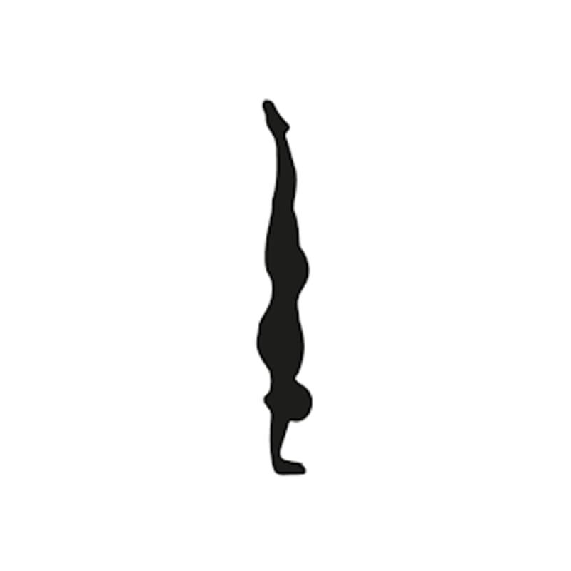 Cover Image for Animal Flow (Primal Workout)
