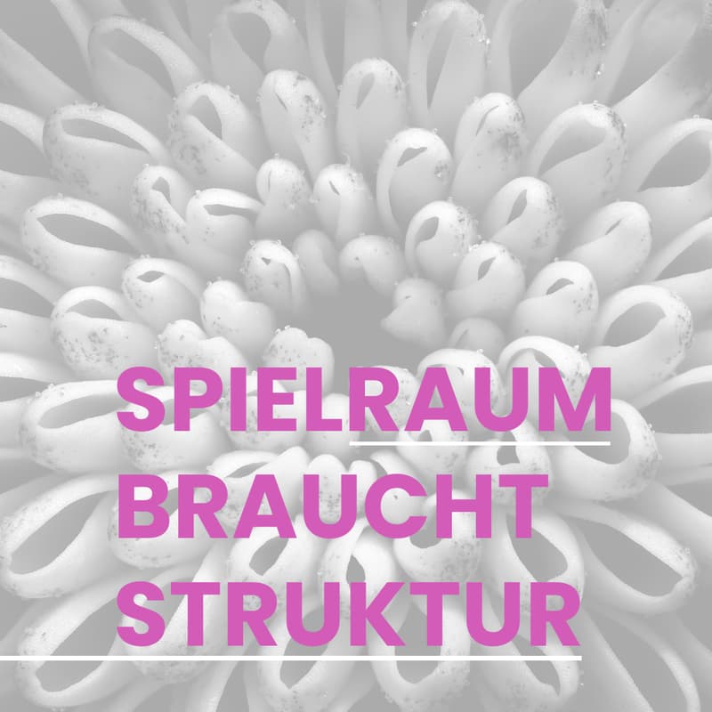 Cover Image for Spielraum braucht Struktur