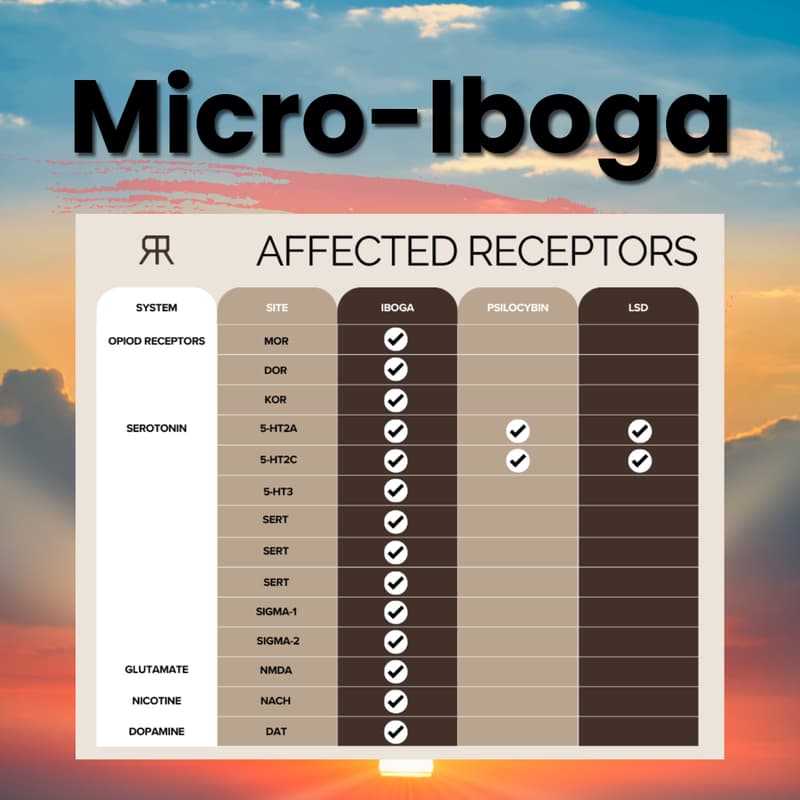Cover Image for 10/21 Intro to Iboga Microdosing for Healthcare Providers (Naturopaths, Psychotherapists, Functional Med, NPs) — 12PM EST / 9AM PST / 6PM CET